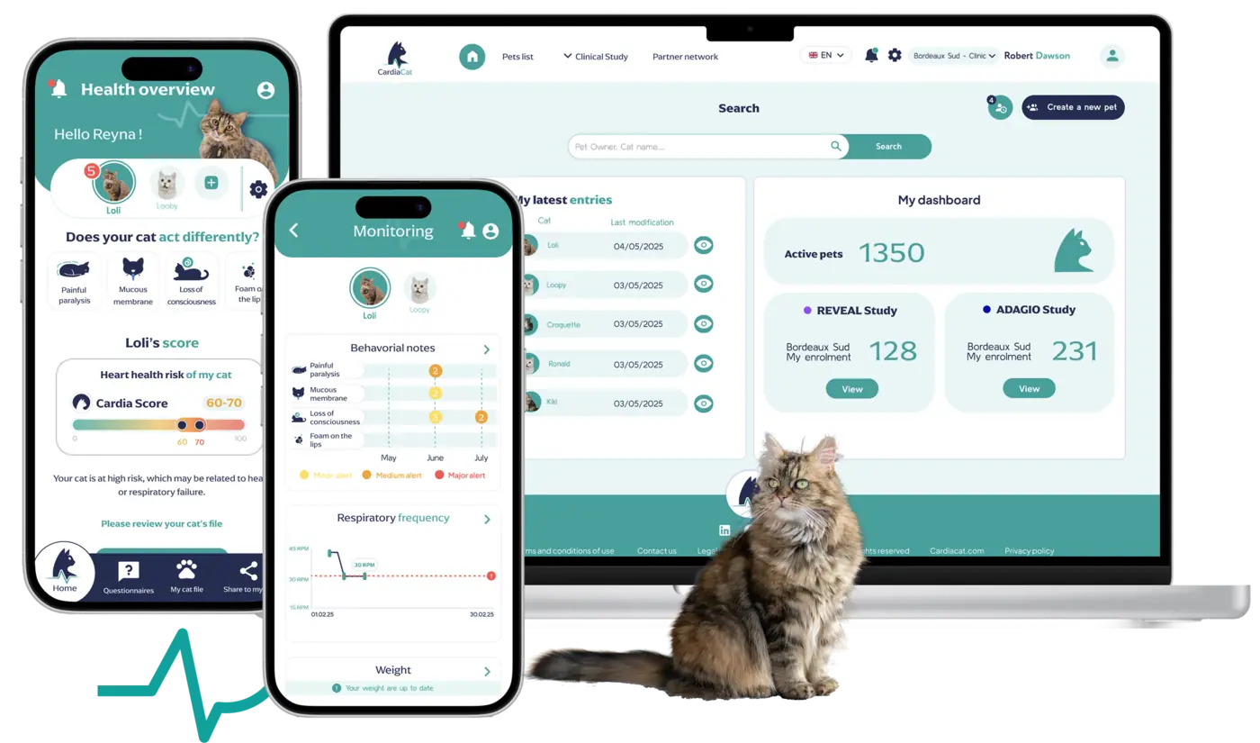 Chat suivi avec l’application CardiaCat