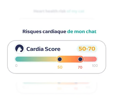 Application CardiaCat : score de risque cardiaque du chat