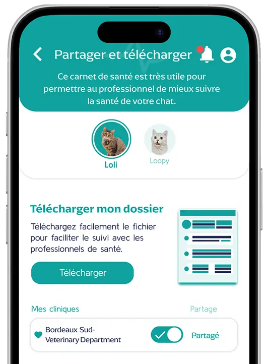 Application CardiaCat : partage du compte rendu avec le vétérinaire